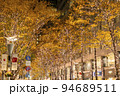 【東京都】輝く街路樹が美しい丸の内のイルミネーション 94689511