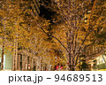 【東京都】輝く街路樹が美しい丸の内のイルミネーション 94689513