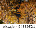 【東京都】輝く街路樹が美しい丸の内のイルミネーション 94689521