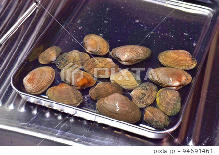 浅利 浅利 94691461