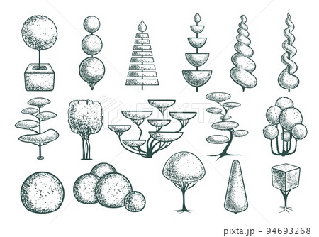 set topiary tree set sketch hand drawn vector 94693268