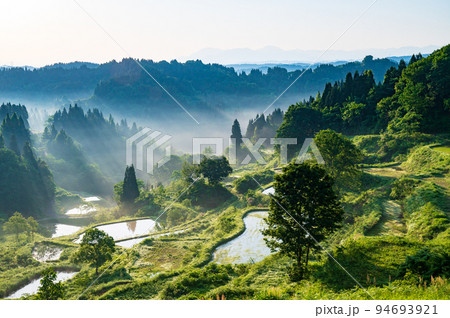 新潟　蒲生の棚田 94693921
