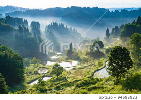 新潟　蒲生の棚田 94693923