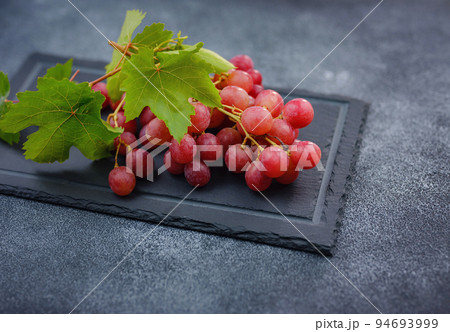 Vineyard Harvest in autumn season Vineyard Harvest in autumn season 94693999