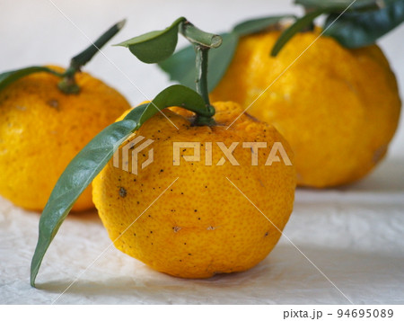 葉付きの柚子 葉付きの柚子 94695089