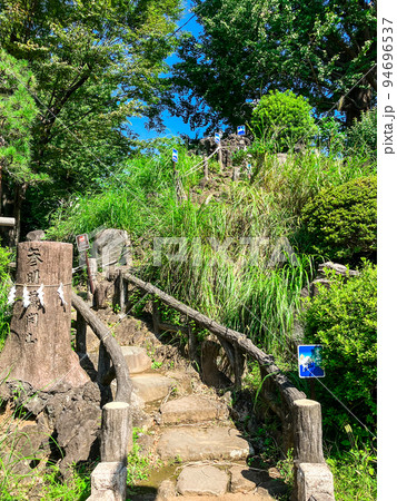 東京千駄ヶ谷・富士浅間神社の千駄ヶ谷富士 94696537