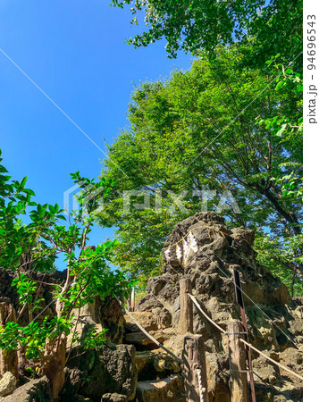 東京千駄ヶ谷・富士浅間神社の千駄ヶ谷富士 94696543