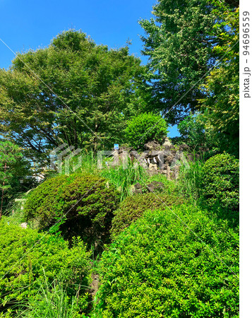 東京千駄ヶ谷・富士浅間神社の千駄ヶ谷富士 東京千駄ヶ谷・富士浅間神社の千駄ヶ谷富士 94696559