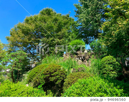東京千駄ヶ谷・富士浅間神社の千駄ヶ谷富士 東京千駄ヶ谷・富士浅間神社の千駄ヶ谷富士 94696560