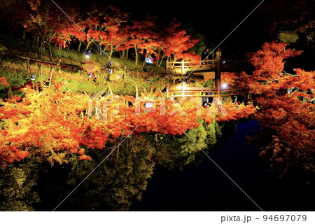なばなの里のライトアップされた紅葉 94697079
