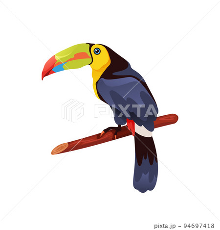 Keel billed toucan bird, vector icon or clipart. 94697418