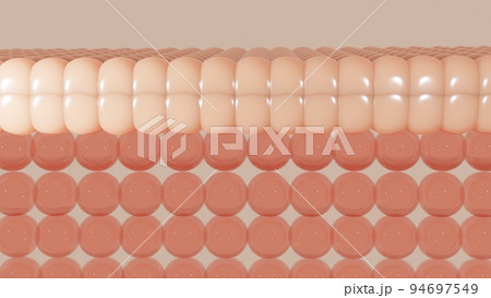 Serum and vitamin drop on skin cell.  94697549