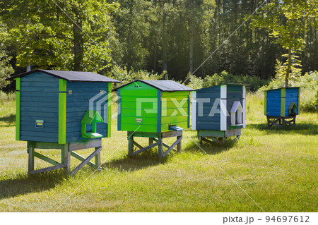 blue and green colorful hives of bees at the forest. Wooden beehives at the grass. sunny summer day 94697612