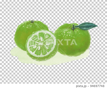 水彩絵の具で描いた緑のみかんイラスト 94697748