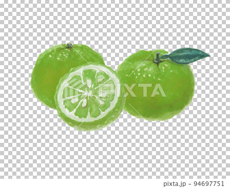 Green mandarin orange illustration drawn with watercolors Green mandarin orange illustration drawn with watercolors 94697751