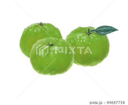 水彩絵の具で描いた緑のみかんイラスト 94697758