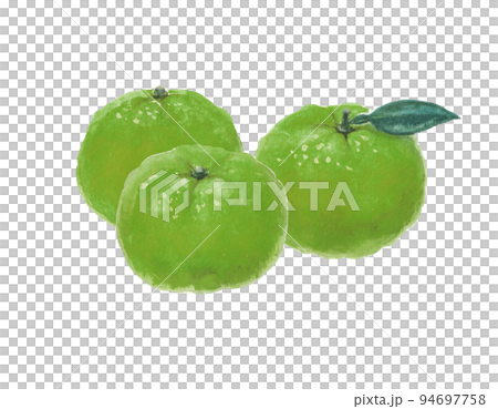 水彩絵の具で描いた緑のみかんイラスト 94697758