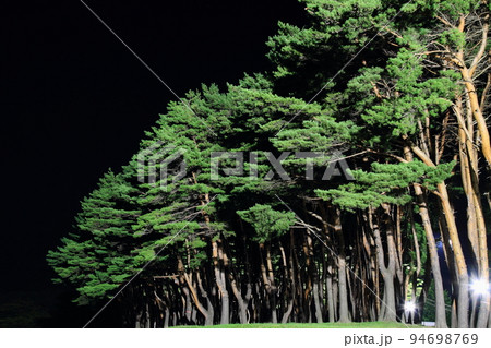函館_五稜郭の夜景 函館_五稜郭の夜景 94698769