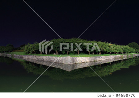 函館_五稜郭の夜景 函館_五稜郭の夜景 94698770