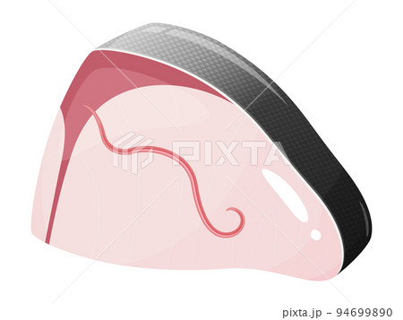 ブリ糸状線虫がいる鰤の切り身のイラスト 94699890