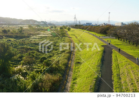 夕日で輝く稲城大橋から見た多摩川河川敷の草原 94700213