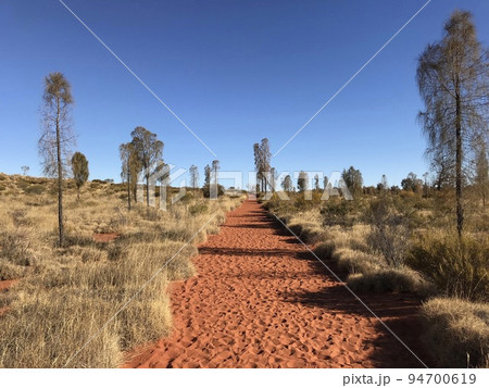 荒野の一本道 94700619
