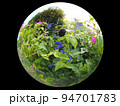 クマバチ 94701783