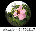クマバチ 94701817