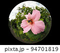 クマバチ 94701819