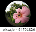クマバチ 94701820