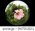 クマバチ 94701821