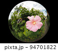 クマバチ 94701822