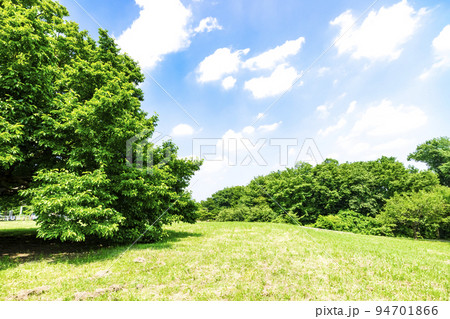緑と青空の広がる風景 94701866
