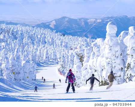 樹氷原の中を滑走する人々 (山形県、蔵王温泉スキー場) 94703944