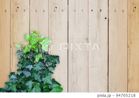 木目素材とグリーン 94705218