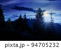coniferous trees on the hill at night. beautiful nature scenery of romania mountains in full moon light 94705232
