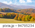 incredible autumn landscape with colorful trees. hill and meadows at the foot of borzhava mountain ridge on a sunny morning 94705234