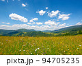 grassy meadows in carpathian mountains. stunning countryside scenery in summer. fluffy clouds on the sky on a warm sunny day 94705235