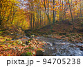 calm mountain river in the forest. beautiful nature landscape in autumn. trees in fall colors on a sunny day 94705238