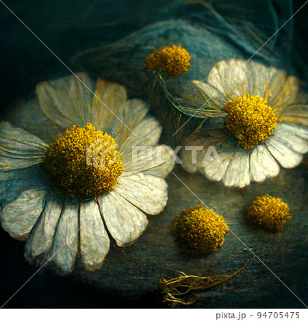 Realistic digital generated illustration of chamomile flowers. 94705475