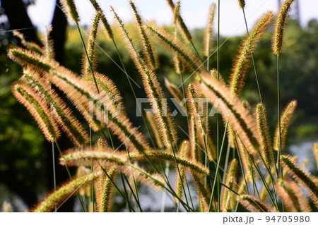 山田池公園 94705980