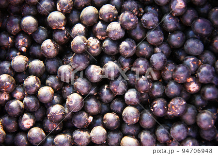 アマゾン産のアサイーの実 ブラジル アマゾン産のアサイーの実 ブラジル 94706948