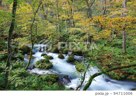 奥入瀬渓流　秋の風景 94711006