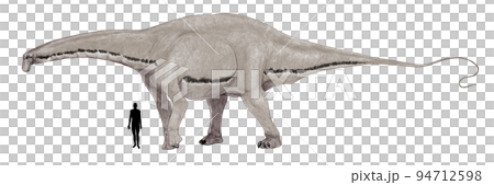 アパトサウルス ジュラ紀の紛らわしい竜脚類 アパトサウルス ジュラ紀の紛らわしい竜脚類 94712598