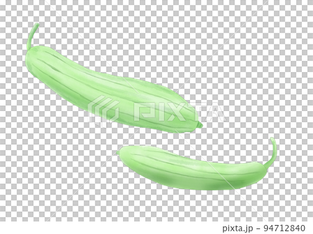 Loofah (hand drawn) 94712840