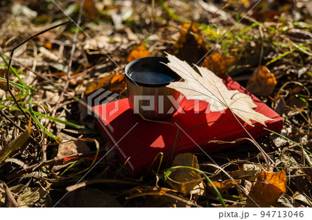Thermos of hot tea red book and yellow fallen maple leaf in autumn. 94713046