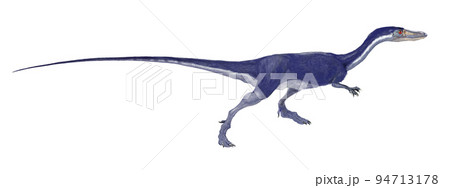 コエロフィシス　初期の恐竜の代表格 94713178