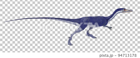 Coelophysis representative of early dinosaurs 94713178