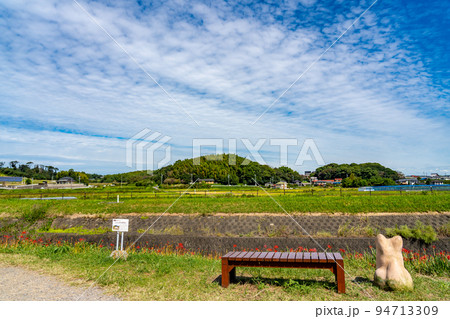 愛知県半田市 彼岸花の咲き始めた童話ごんぎつねの里の矢勝川沿いでごんと見る権現山とベンチ 愛知県半田市 彼岸花の咲き始めた童話ごんぎつねの里の矢勝川沿いでごんと見る権現山とベンチ 94713309