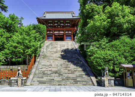 鎌倉　鶴岡八幡宮　本宮と大石段 94714314